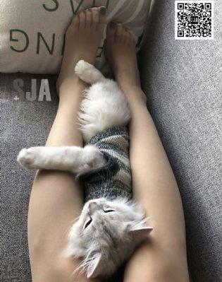 99久久精品国产亚洲a_国产剧在线观看视频