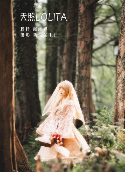 成人AV片免费观看在线播放_蓝光全集在线观看